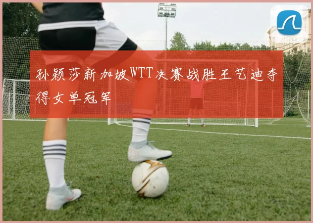 孙颖莎新加坡WTT决赛战胜王艺迪夺得女单冠军