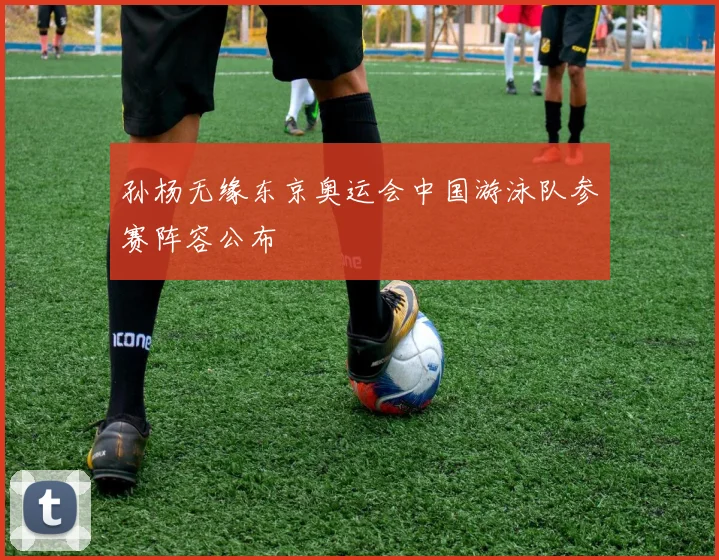 孙杨无缘东京奥运会中国游泳队参赛阵容公布