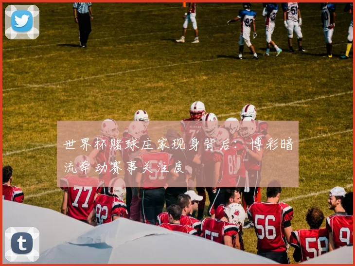 世界杯赌球庄家现身背后:博彩暗流牵动赛事关注度