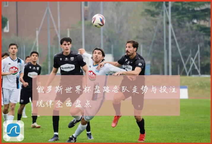俄罗斯世界杯盘路各队走势与投注规律全面盘点