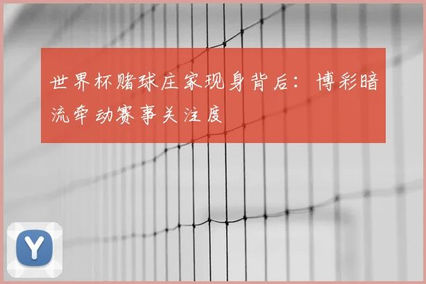 世界杯赌球庄家现身背后：博彩暗流牵动赛事关注度