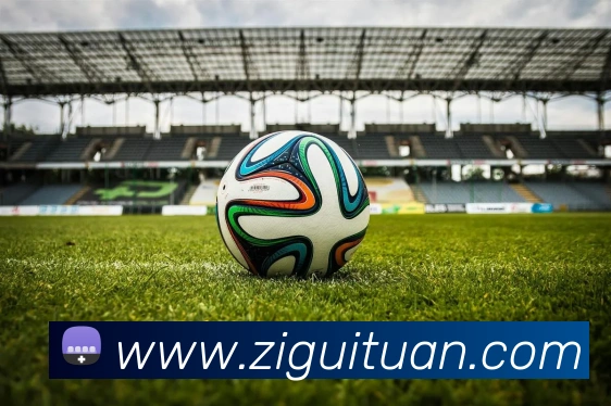 333体育官网是什么APP 封面图