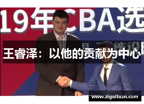 王睿泽：以他的贡献为中心